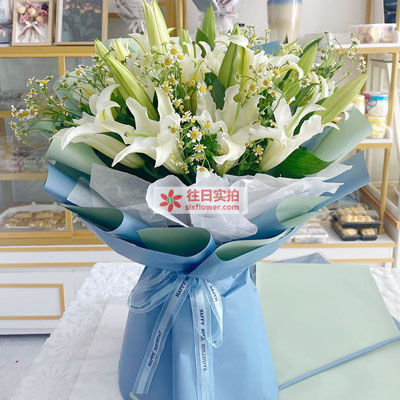 驻马店8支白色多头百合洋甘菊，互倾的思念