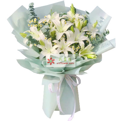 驻马店6支白色多头百合，温馨的祝福