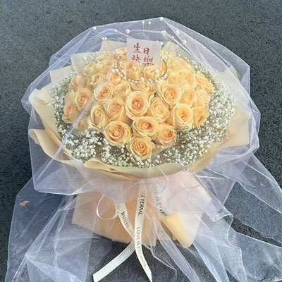 驻马店52朵香槟玫瑰满天星，你就是我的全部