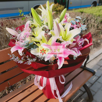驻马店8支多头百合，万事如意喜上加喜