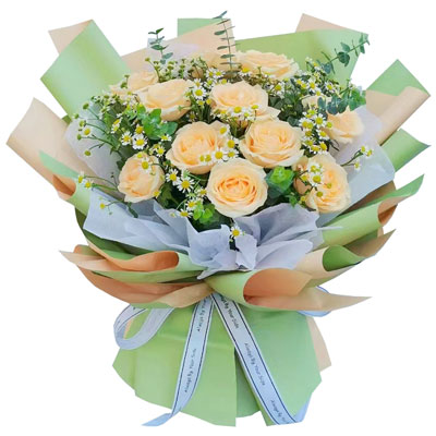 驻马店11朵香槟玫瑰洋甘菊，爱温暖幸福