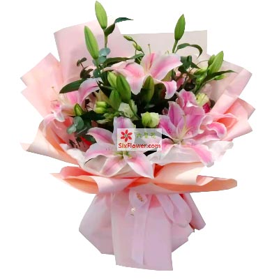 驻马店6支粉色多头百合，祝你人生得意