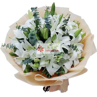 驻马店9支白色多头百合，祝福你幸福